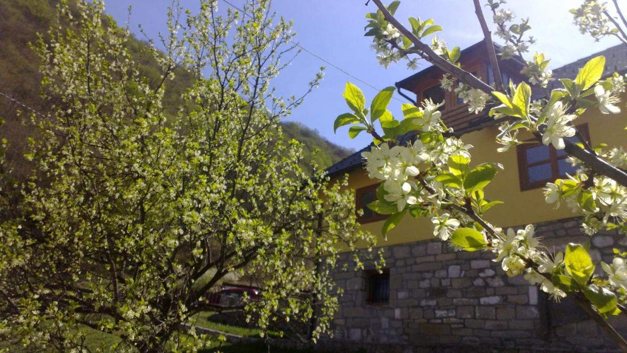 Guest House - Stari Javor B&B Prozor Esterno foto